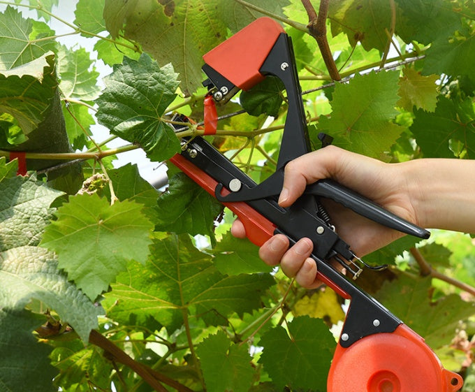 Dispositivo para atar ramas de uva, Máquina atadora de árboles frutales, Máquina atadora de mano para huerto pequeño