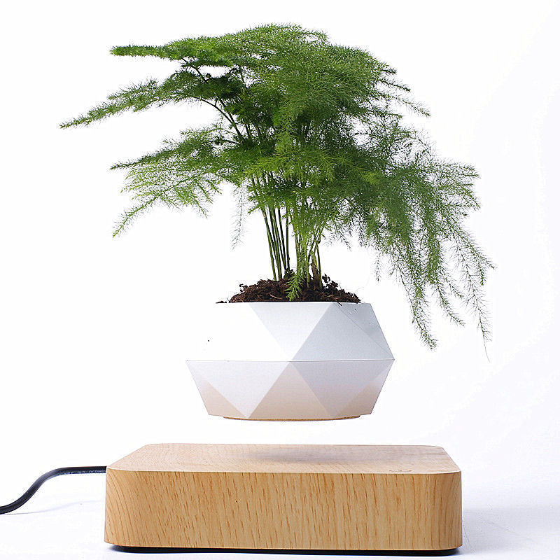 Support flottant magnétique pour plantes à bonsaï, cadeaux créatifs à la mode, cadeaux de noël ou d'anniversaire