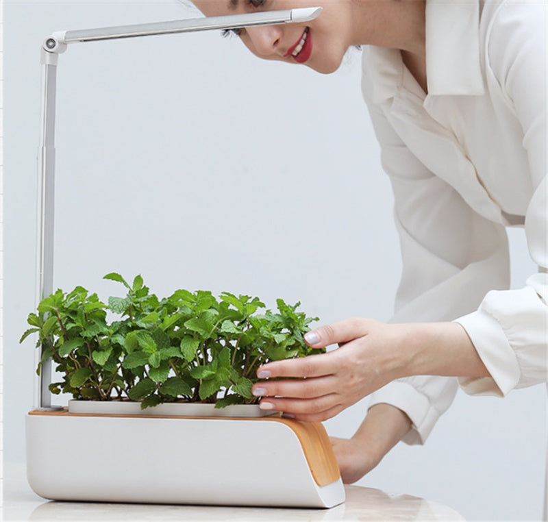 Lampe de bureau hydroponique d'intérieur, Kit de jardin d'herbes, lampe Led multifonction intelligente pour culture de fleurs, légumes, fruits et plantes