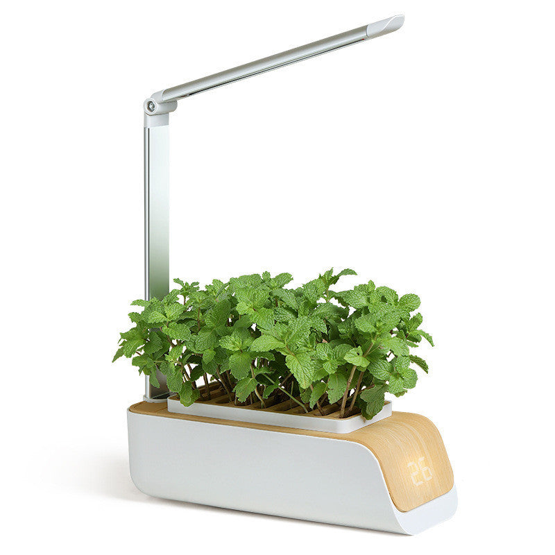 Lampe de bureau hydroponique d'intérieur, Kit de jardin d'herbes, lampe Led multifonction intelligente pour culture de fleurs, légumes, fruits et plantes