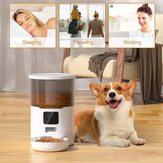 Mangeoire automatique pour chien et chat