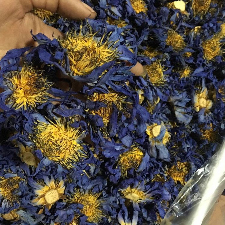 Flores de loto azul secas Secado natural Fragancia que no reseca Duradera y rica