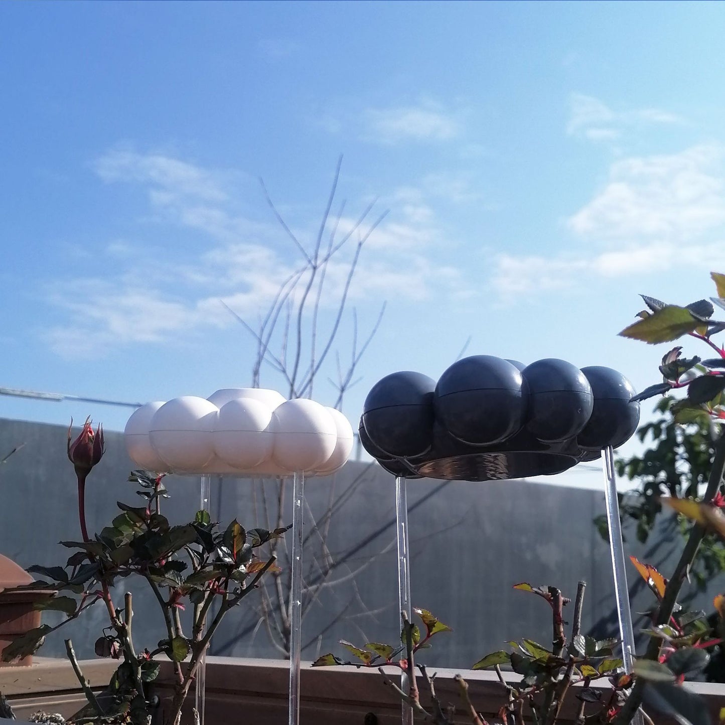 Irrigador de nube de lluvia para riego de plantas de jardín