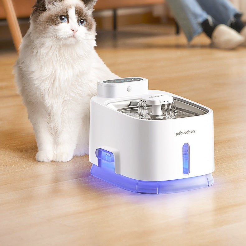 Distributeur d'eau à circulation automatique Cat Flow