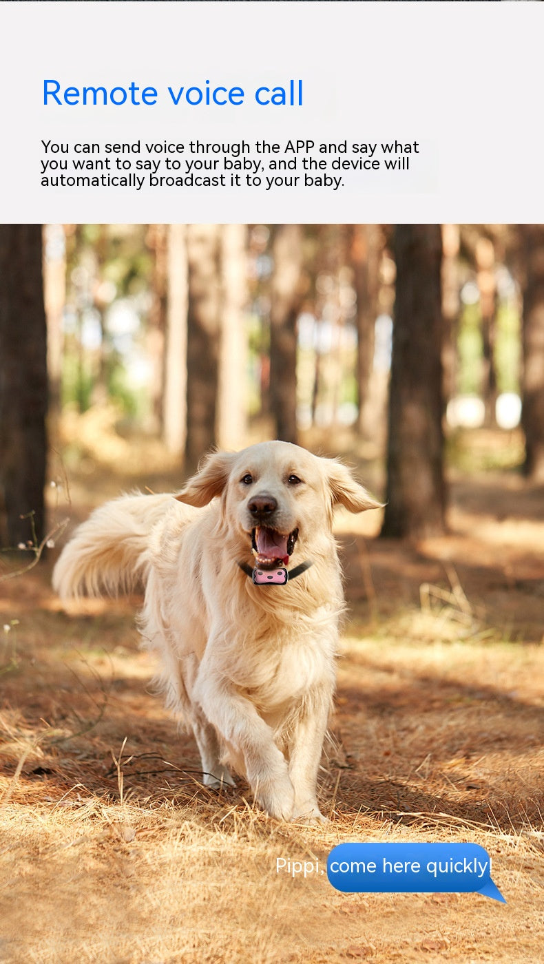 Outil de suivi pour animaux de compagnie Collier pour chien et chat