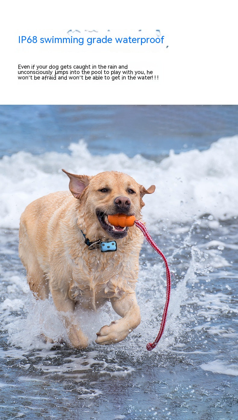 Outil de suivi pour animaux de compagnie Collier pour chien et chat