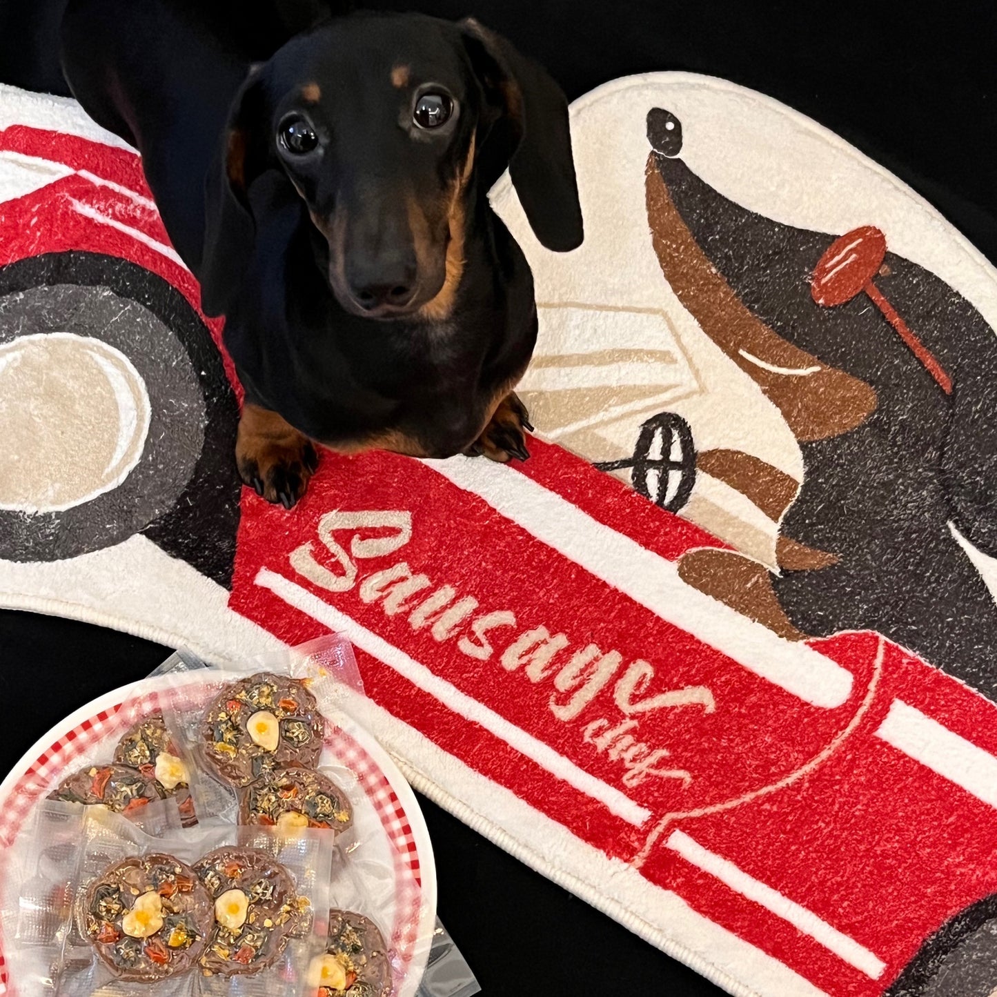 Original Design For The Surrounding Area Of Dachshund Dog, Floor Mat For Entering Households, Anti Slip And Absorbent Carpet