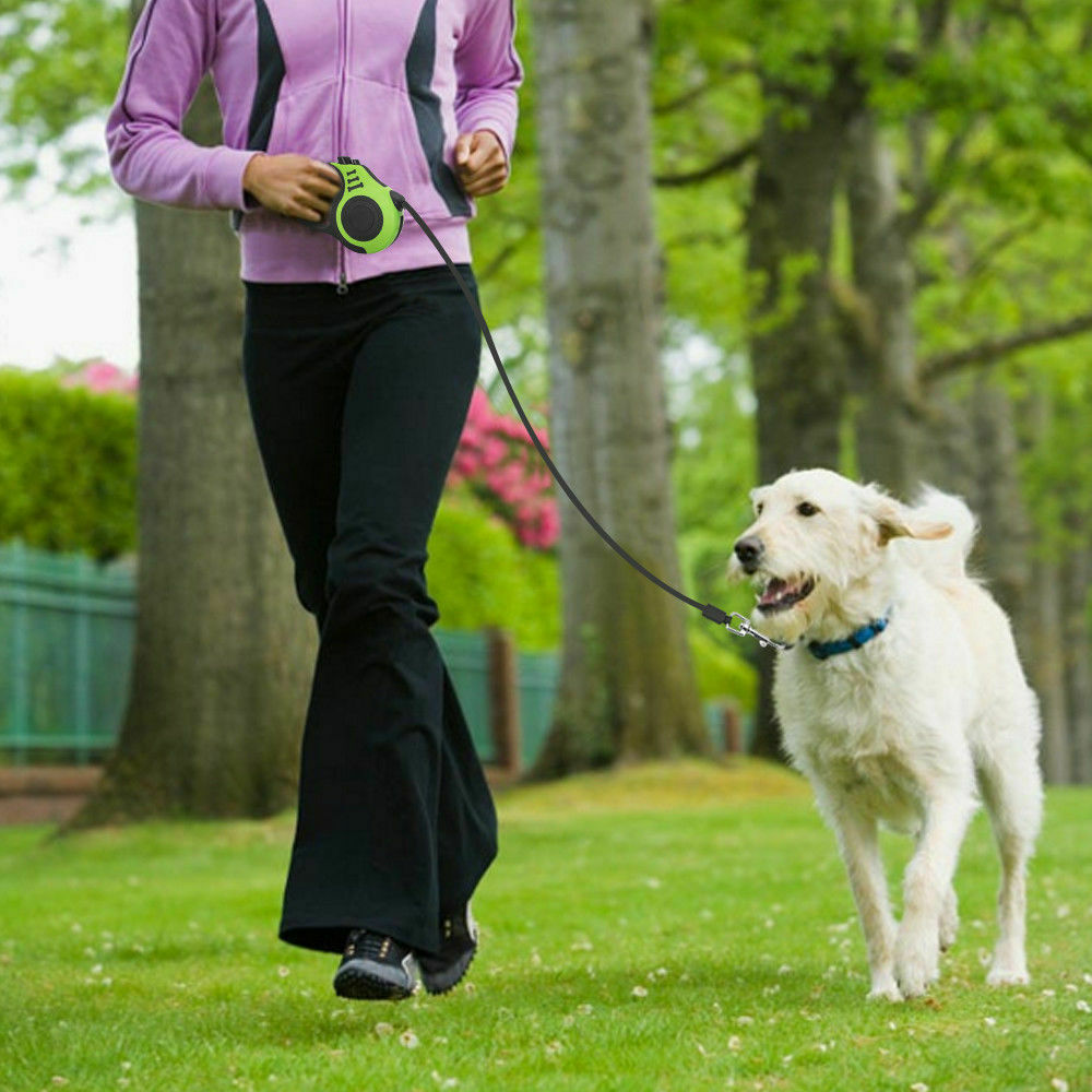 Laisse rétractable automatique pour chien, collier pour animaux de compagnie, plomb de marche automatique, laisse libre