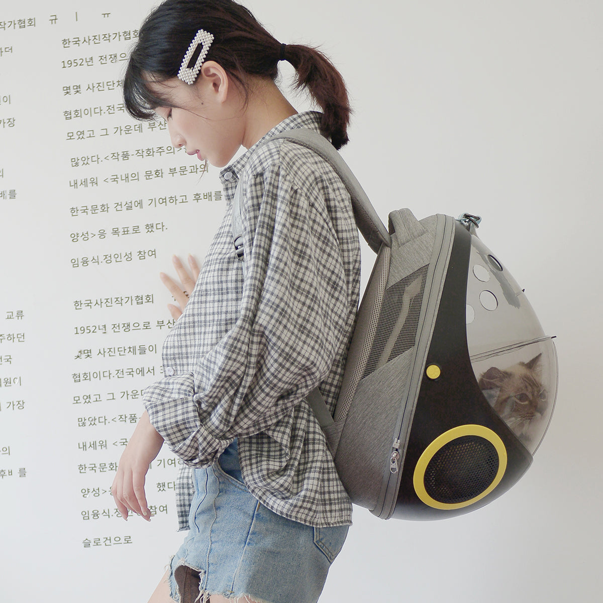 Coquille d'œuf respirante, nid de chat, Capsule spatiale transparente pour animaux de compagnie, sac à dos Portable