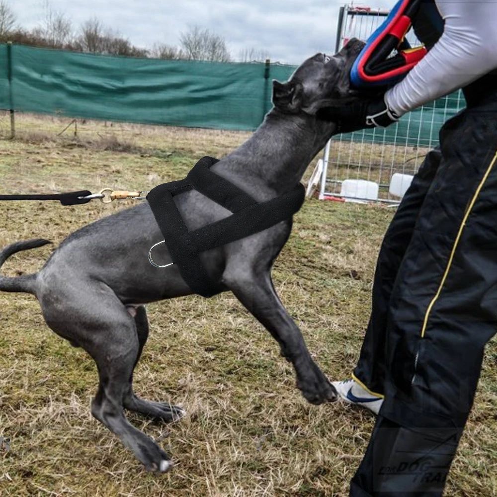 Harnais de traction pour chien, harnais doux et rembourré pour chien Pitbul