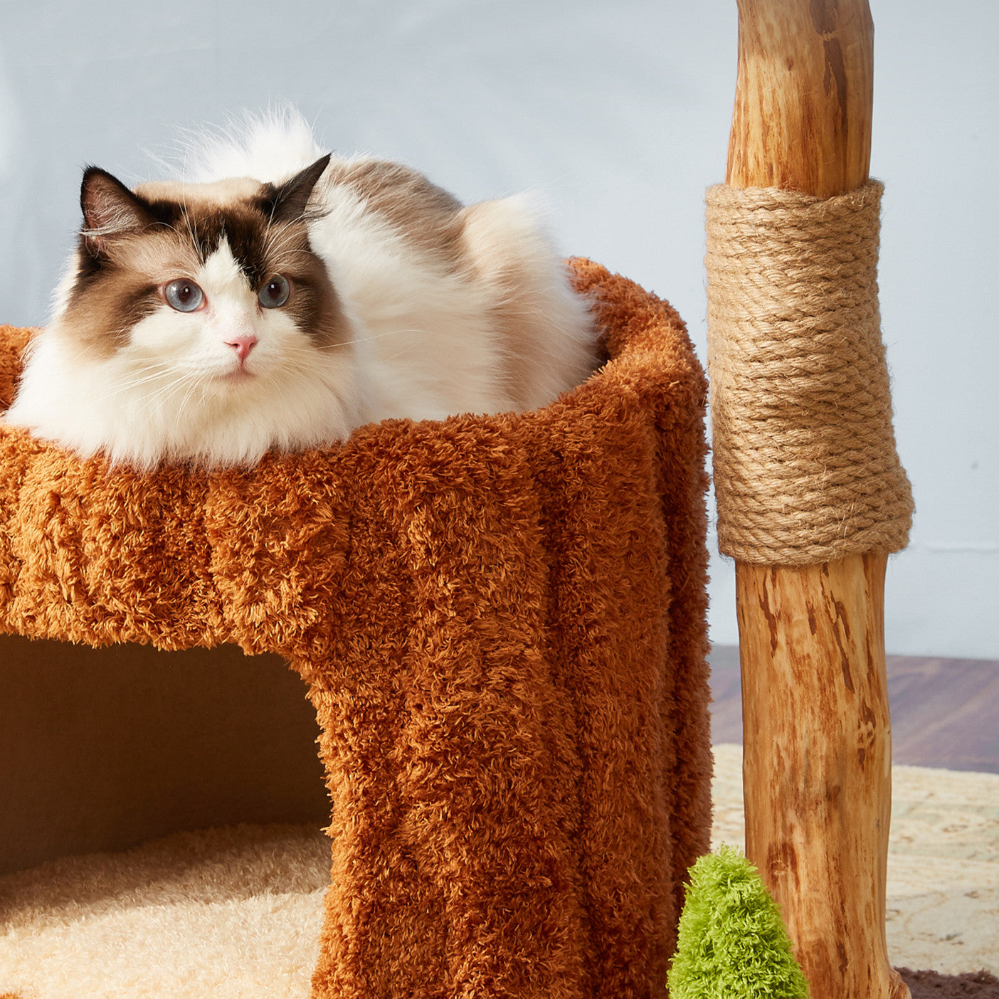 Cadre d'escalade pour chat en bois massif, jouet en sisal intégré