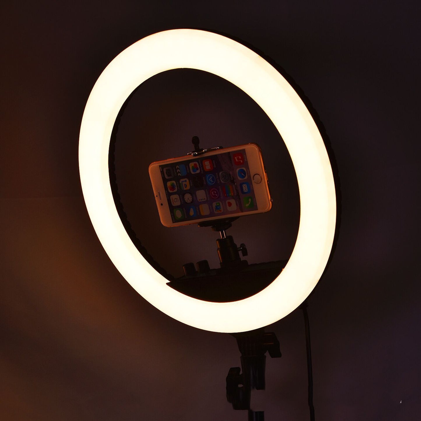 Dual Color Temperature Led Ring Lamp RL-12II