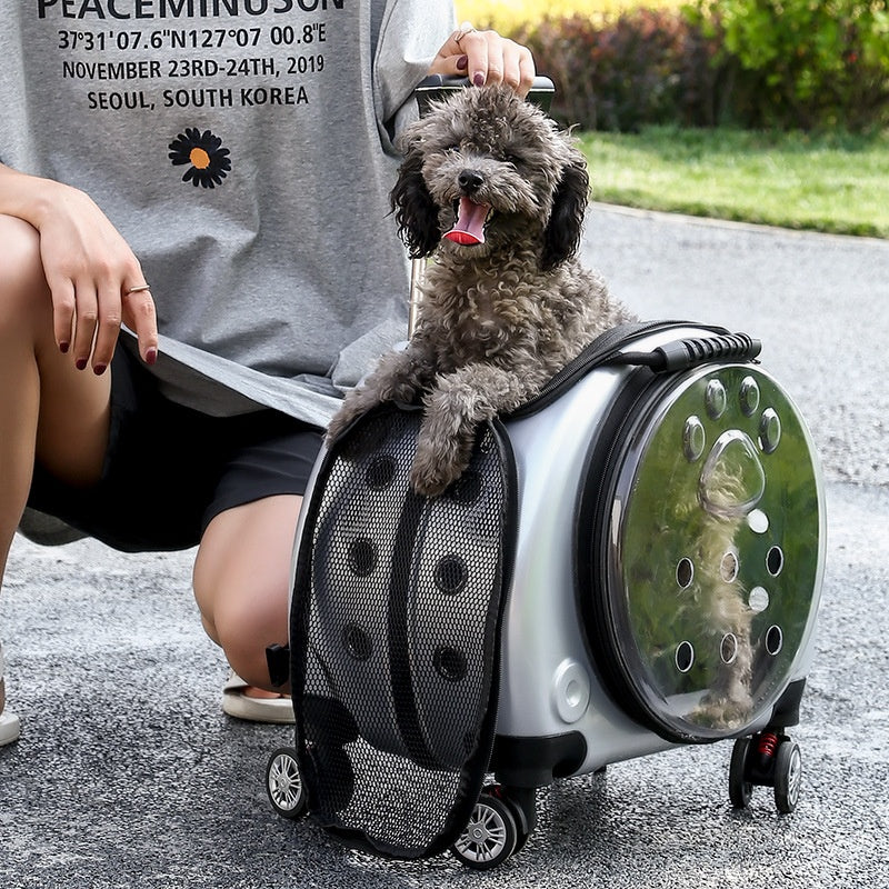 Petit sac à roulettes pour animaux de compagnie, sac à couches Portable pour chien, épaules transparentes, sac pour chat, Capsule spatiale