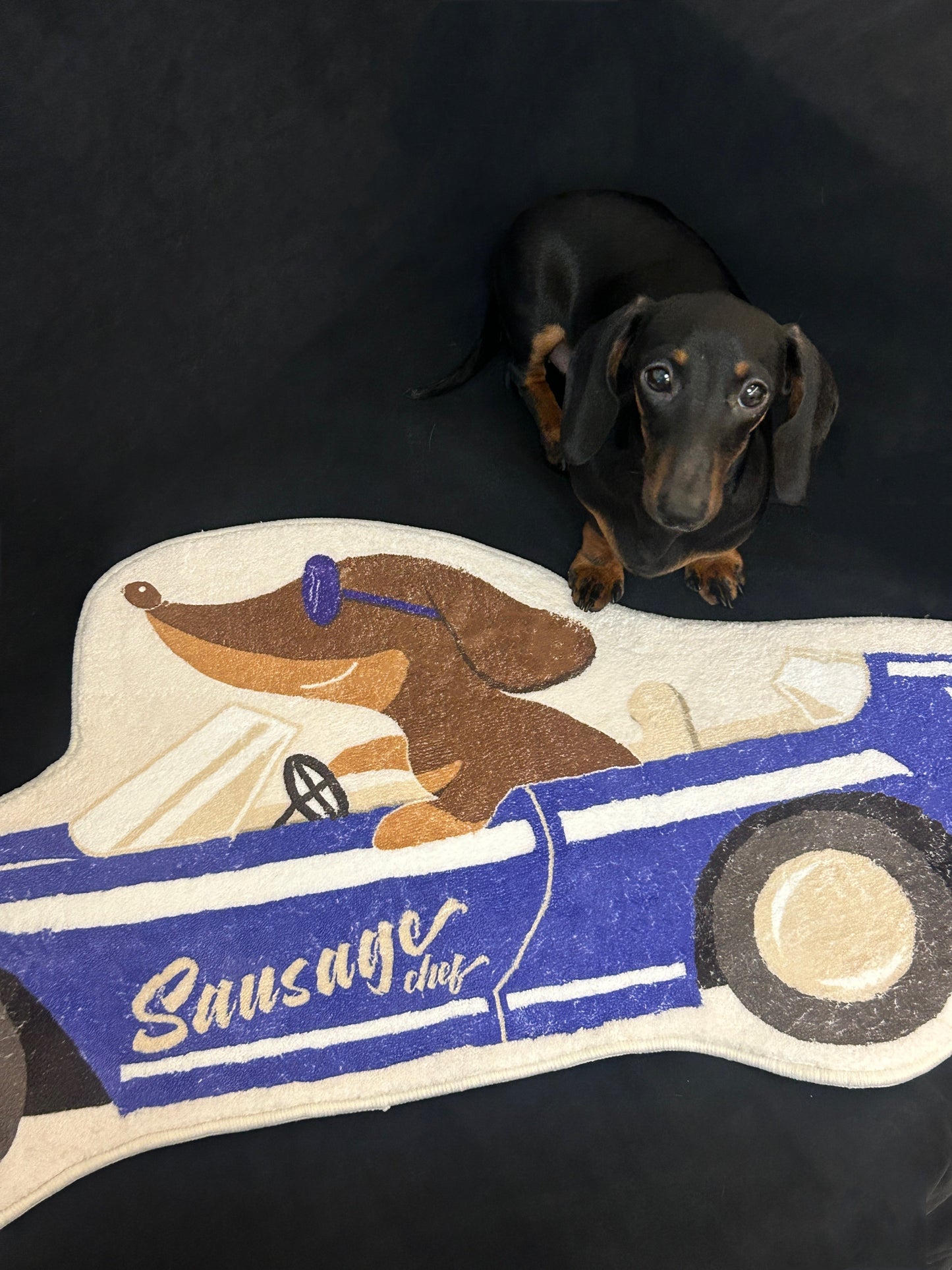 Original Design For The Surrounding Area Of Dachshund Dog, Floor Mat For Entering Households, Anti Slip And Absorbent Carpet