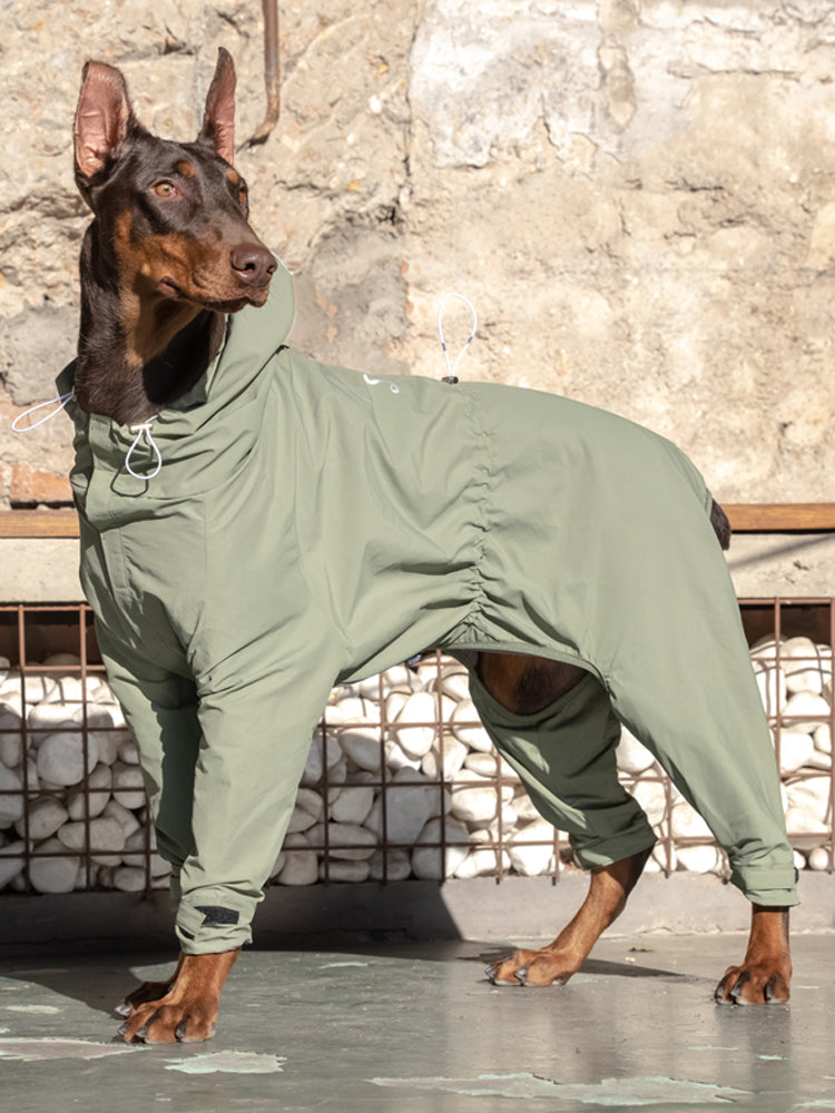 Animal de compagnie moyen et grand Shiba Inu à quatre pattes une pièce outillage costume d'alpinisme en plein air vêtements d'assaut décontractés