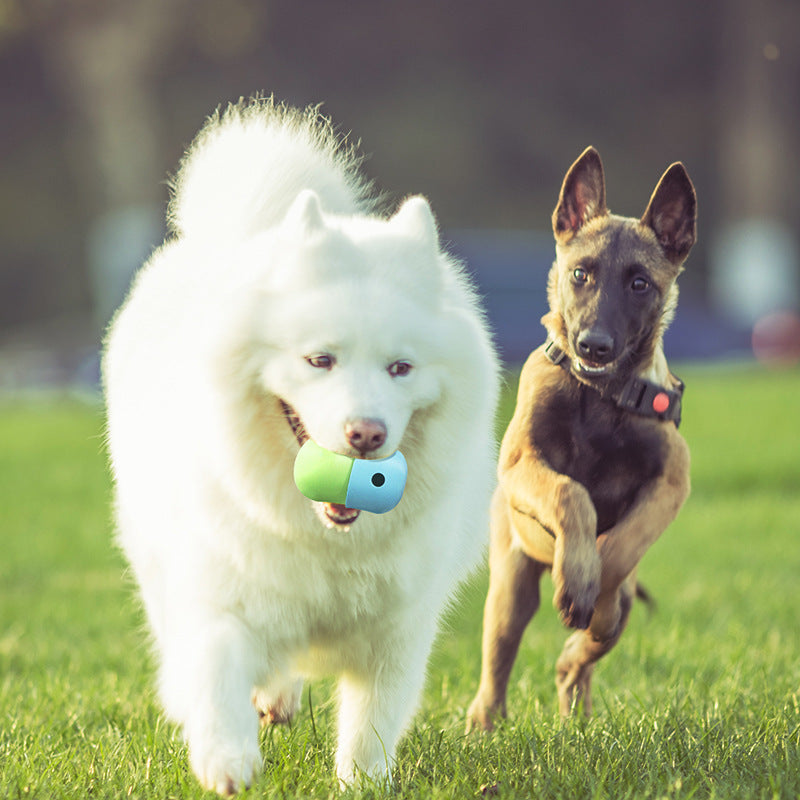 Nouveau 2 en 1 jouets pour animaux de compagnie produits chien fuite jouet balle Silicone fournitures pour animaux de compagnie