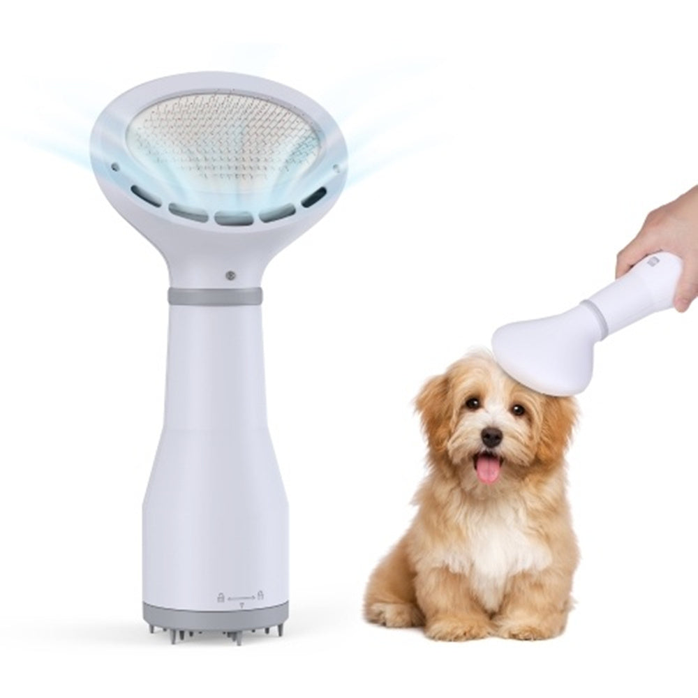 Sèche-cheveux pour chien Dadypet, brosse de toilettage pour chien