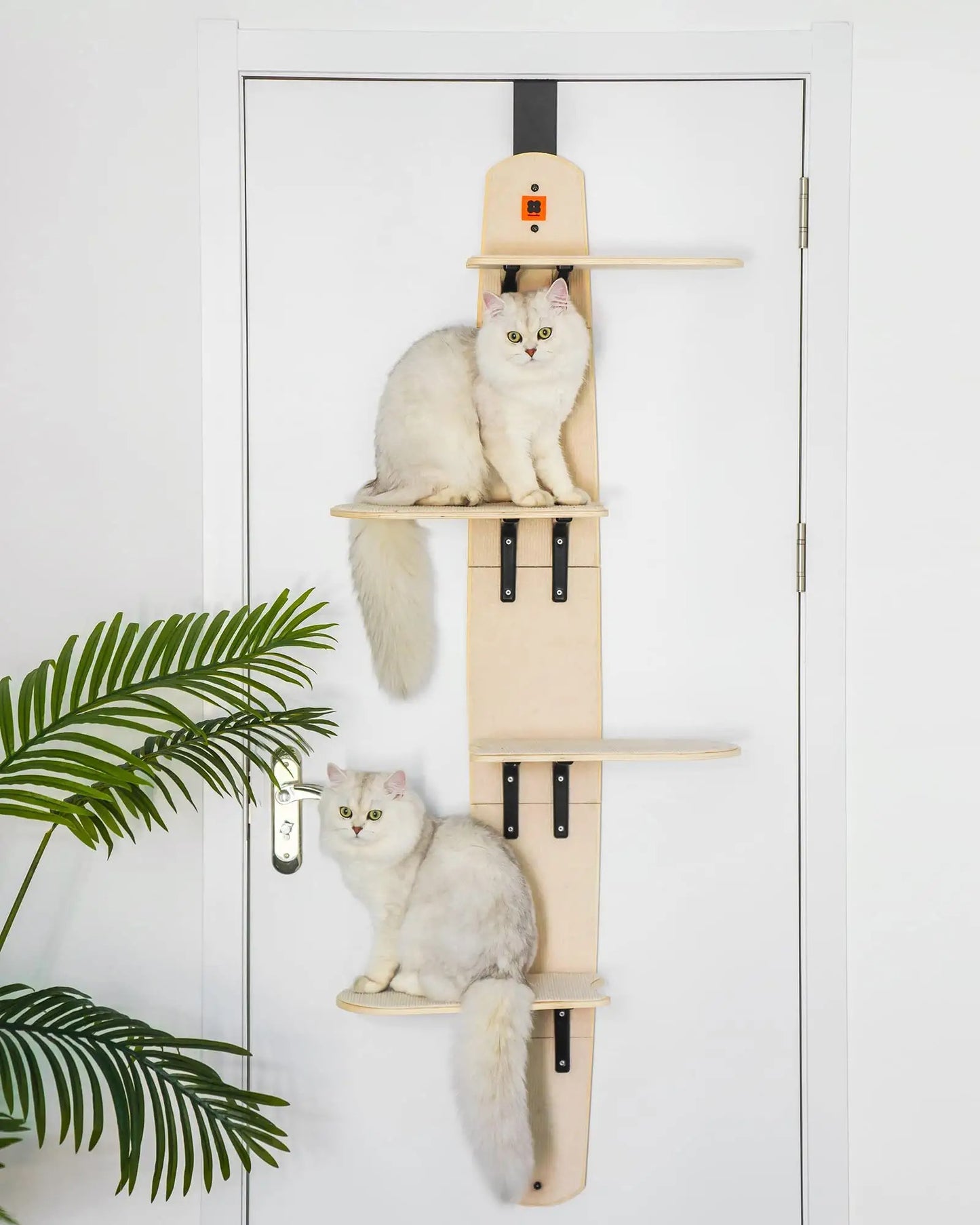 Mewoofun Estantes trepadores para gatos versátiles de 4 niveles Árbol vertical para gatos montado en la puerta