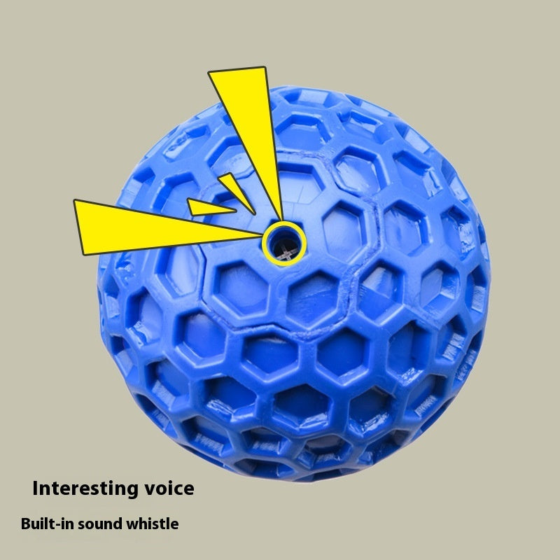 Vocalización del perro Molar resistente a las mordeduras que alivia la bola de juguete congestionada