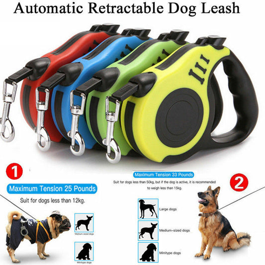 Laisse rétractable automatique pour chien, collier pour animaux de compagnie, plomb de marche automatique, laisse libre