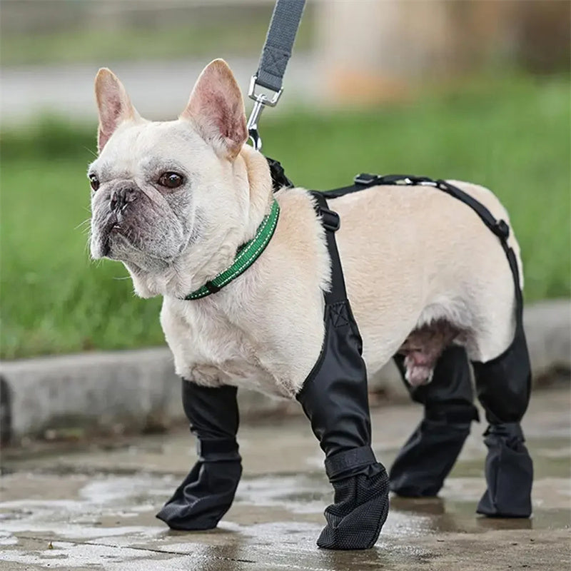 Chaussures imperméables pour chiens, bottes réglables pour animaux de compagnie, chaussures respirantes pour la marche en plein air, chaussures françaises souples pour animaux de compagnie, protection des pattes, produits pour animaux de compagnie