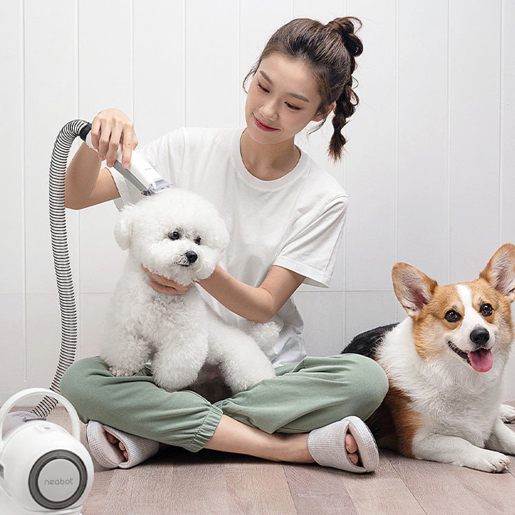 Dispositivo de cuidado para mascotas, peine para afeitar el cabello en un solo P1 Beauty Pet