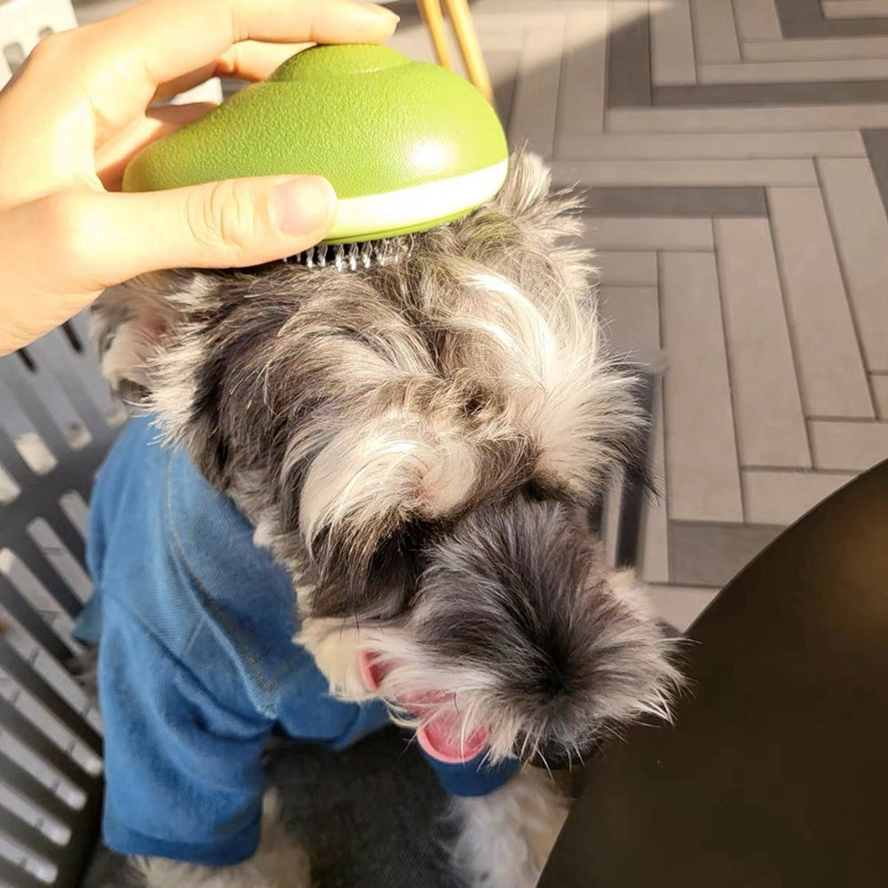 Peine creativo para el cuidado de gatos, cepillo de masaje portátil, raspador de pelo flotante con un solo botón, accesorios para herramientas de autolimpieza para perros y gatos