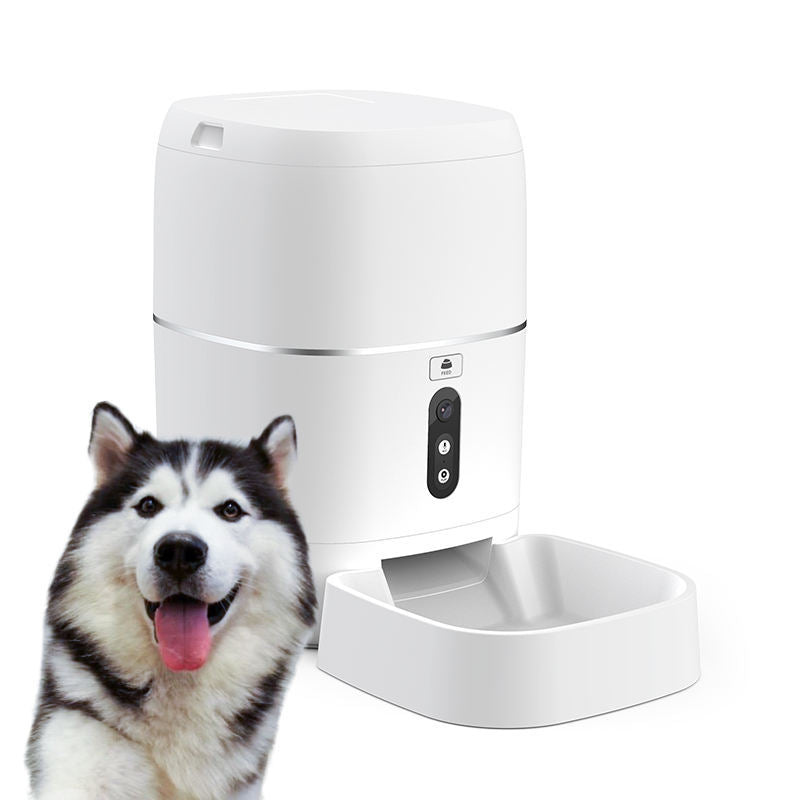 Distributeur d'eau intelligent pour animaux de compagnie