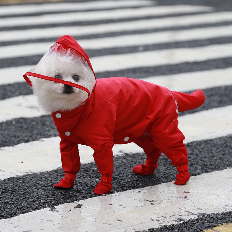 L'imperméable imperméable tout-en-un à quatre pattes pour animaux de compagnie est livré avec des chaussures de pluie