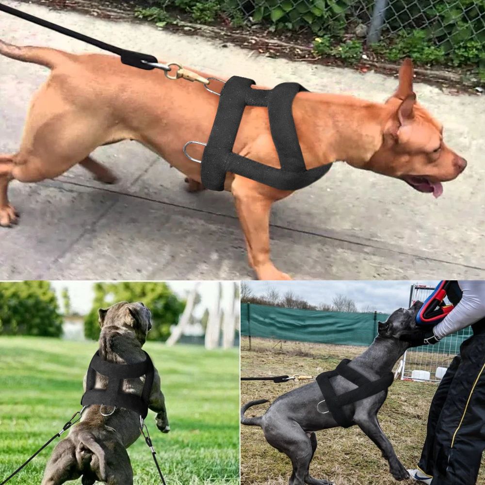 Harnais de traction pour chien, harnais doux et rembourré pour chien Pitbul