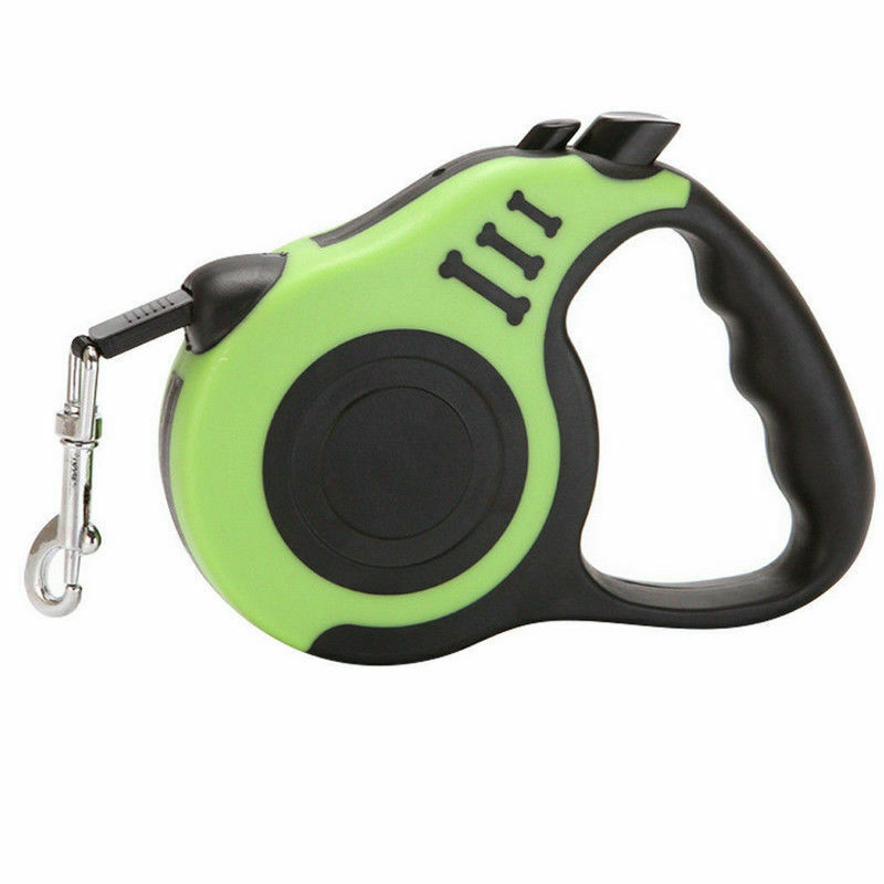 Laisse rétractable automatique pour chien, collier pour animaux de compagnie, plomb de marche automatique, laisse libre