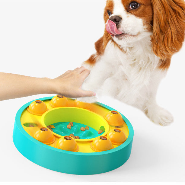 Jouets Puzzle pour animaux de compagnie, gamelle pour ingestion lente, interactif, augmentation du qi du chiot, distributeur de nourriture, manger lentement, bol antidérapant, jeu d'entraînement pour chiens de compagnie