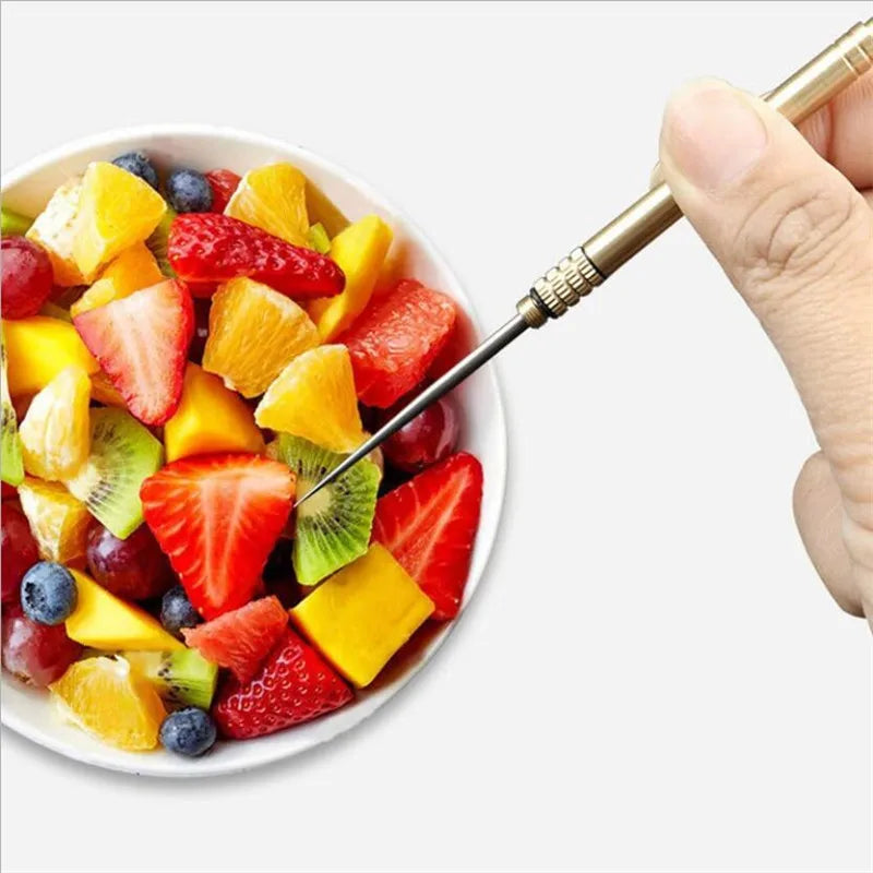 Titanium Outdoor Edc Portable Multifunctional Toothpick Bottle Fruit Fork Camping Tool Toothpick Tube Stronger Than Dental Floss