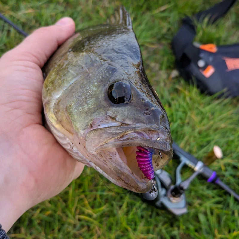 2021 Supercontinent gusano cebo suave Tanta 49mm 65mm Señuelos de Pesca Pesca carpa Pesca lubina señuelo Isca artificial PVA