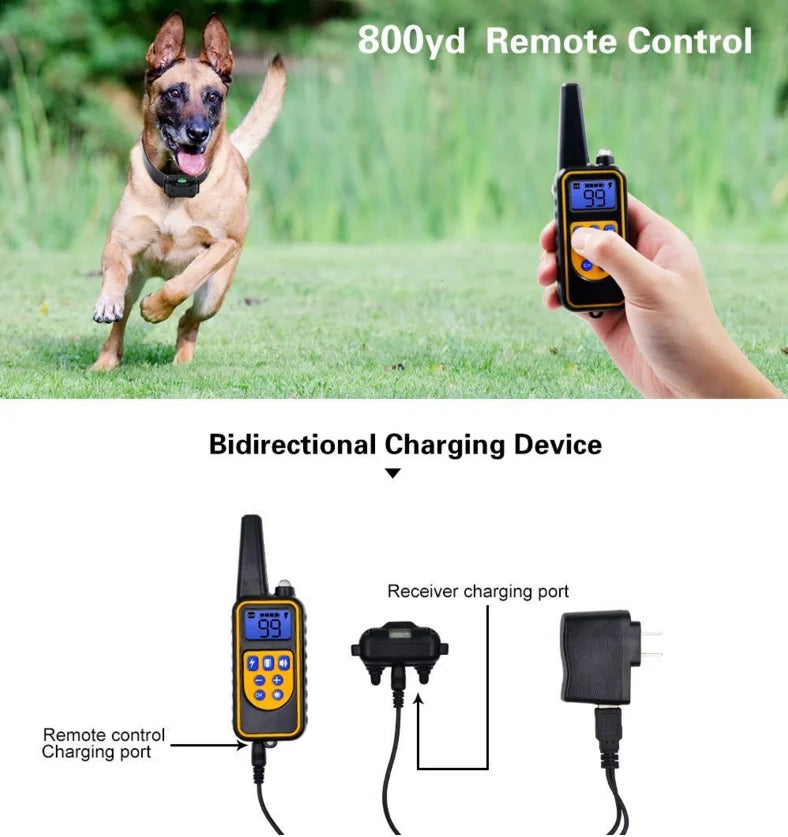 Collier de dressage électrique pour chien, étanche, collier Anti-aboiement pour animaux de compagnie, avec télécommande, dispositif Anti-aboiement Rechargeable, pour chiens de toutes tailles