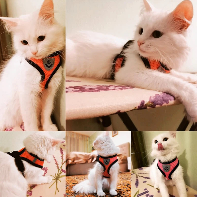 Harnais pour chat, gilet de marche, laisse pour chiot, collier en Polyester, maille réglable, accessoires pour animaux de compagnie de petite et moyenne taille