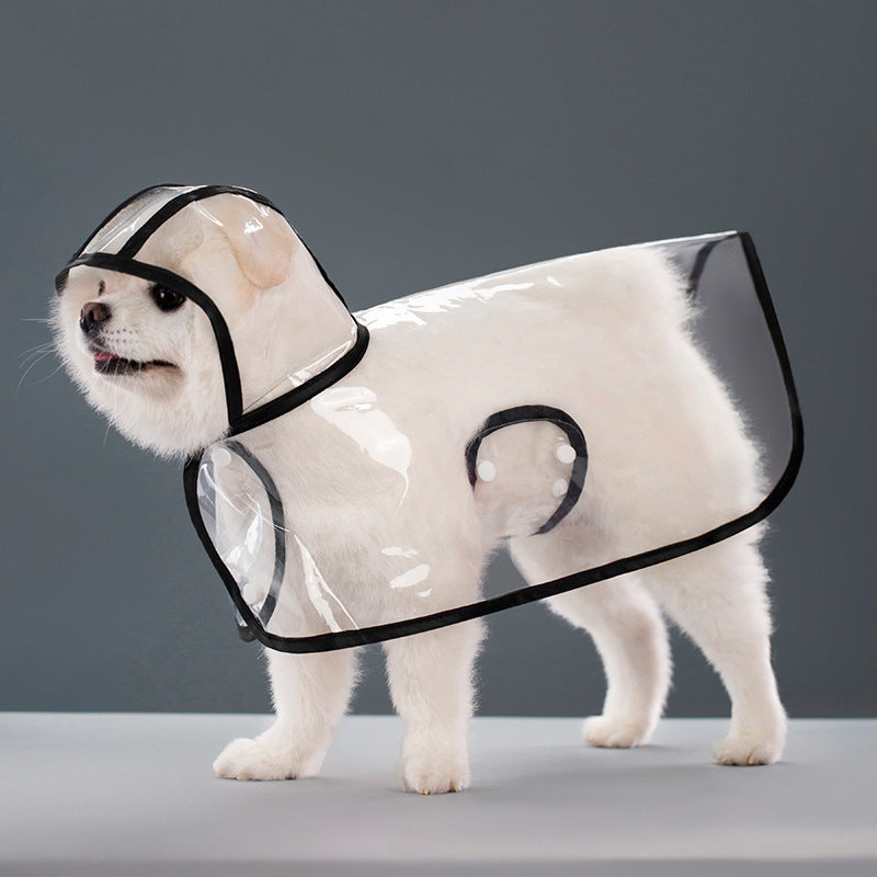 Suministros para mascotas Impermeable de plástico transparente para perros