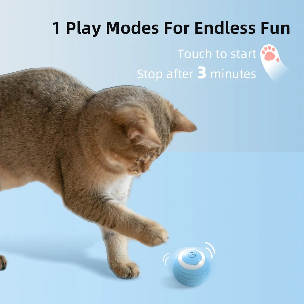 Balle Interactive pour chat, jouets intelligents pour chiens, jouet électronique interactif pour chat, boule magique à roulement automatique d'intérieur, accessoires de jeu pour chat