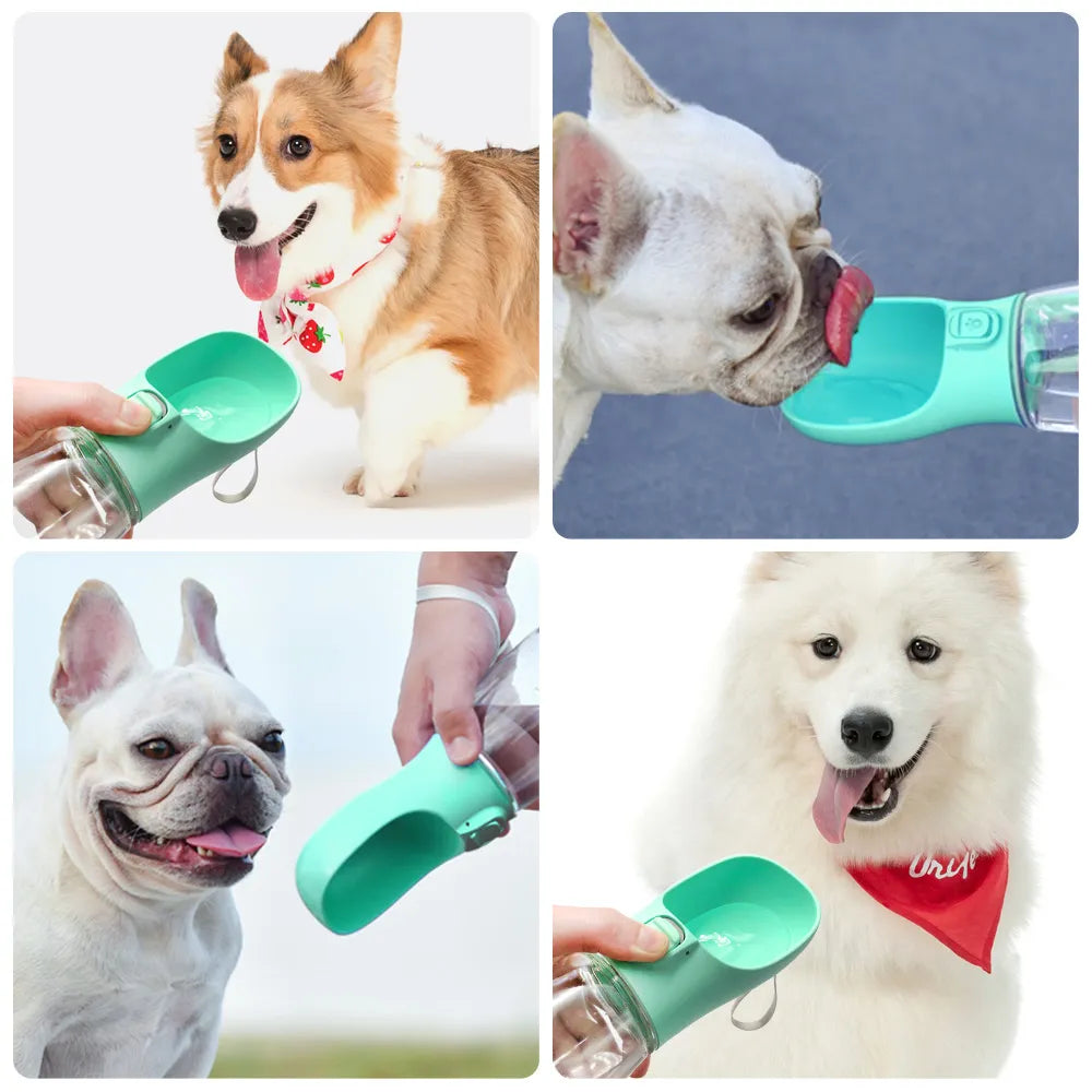 Bouteille d'eau Portable pour petits et grands chiens et chats, bols à boire étanches pour la marche en plein air, fournitures pour Chihuahua et bouledogue français