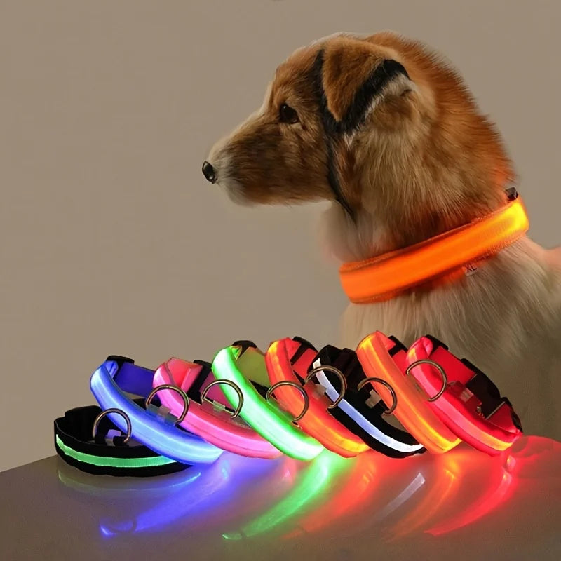 Nylon LED Noche Seguridad Intermitente Resplandor en la oscuridad Perro Correa Perros Luminoso Fluorescente Collar de perro mascota