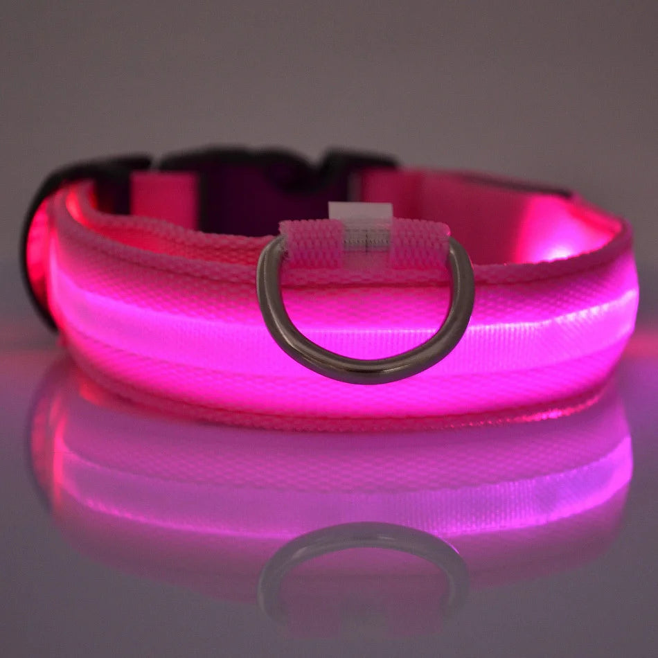 Nylon LED Noche Seguridad Intermitente Resplandor en la oscuridad Perro Correa Perros Luminoso Fluorescente Collar de perro mascota