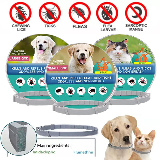 Collar antipulgas y garrapatas para perros y gatos, protección para mascotas de 8 meses, collares retráctiles para mascotas, accesorios para perros grandes y cachorros