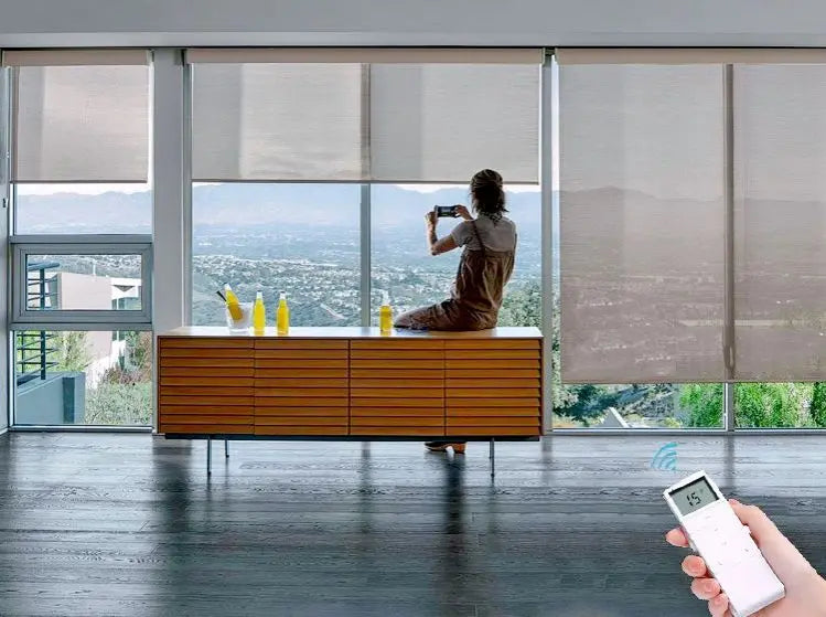 Decopedia Custom Home Window Roller Shades Motorized Blinds for Windows Blackout Day Night Wifi Smart Home Google Alexa