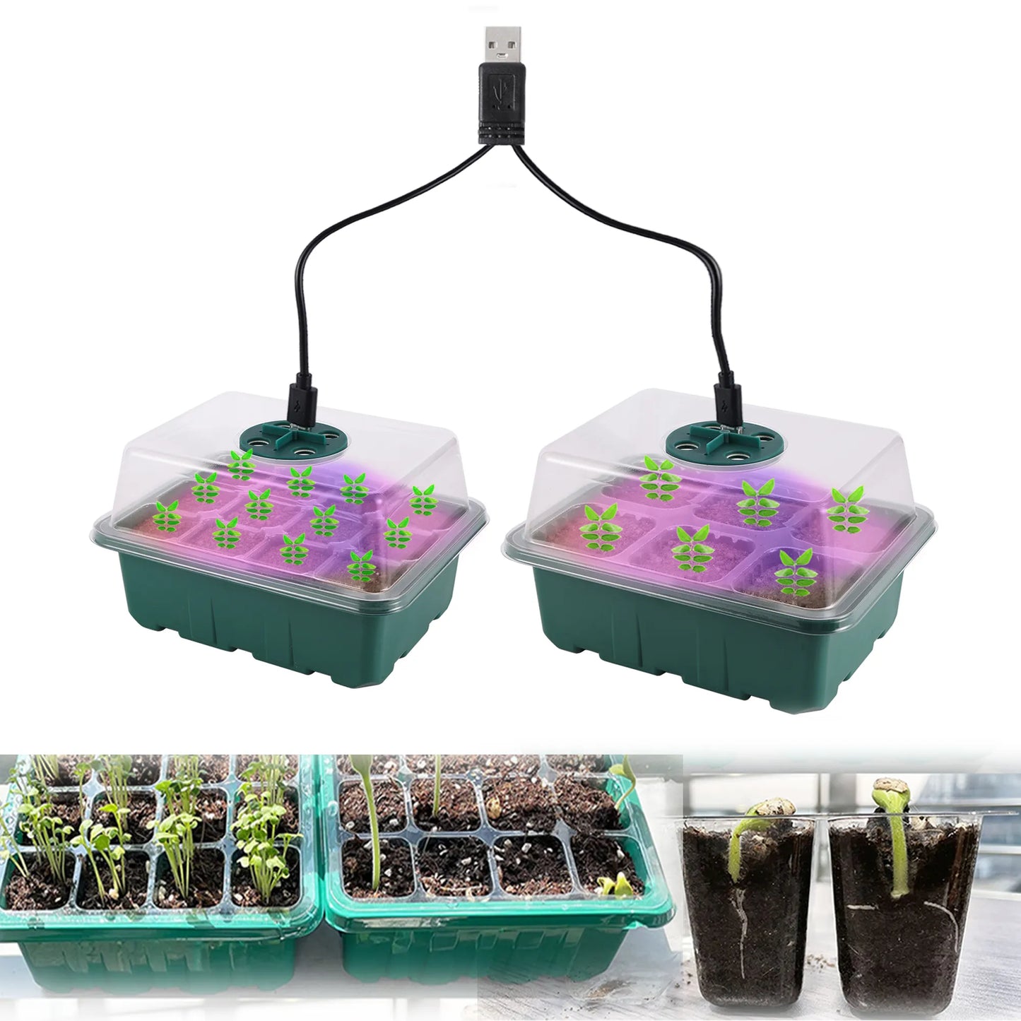 Caja de bandeja de inicio de semillas con luz LED para cultivo, maceta para vivero, plantador para germinación de plántulas, ventilación ajustable, humedad, 6/12/13 celdas