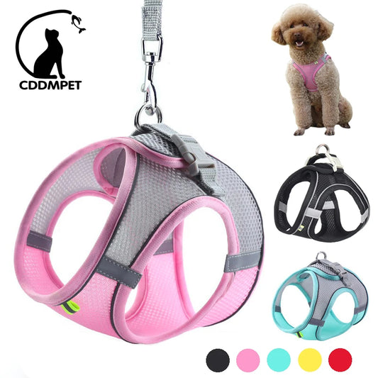 Conjunto de correa y arnés para perros pequeños, arnés ajustable para cachorros y gatos, chaleco, Bulldog Francés, Chihuahua, Pug, correa para caminar al aire libre