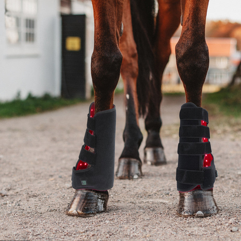 Fototerapia portátil para patas de caballo.