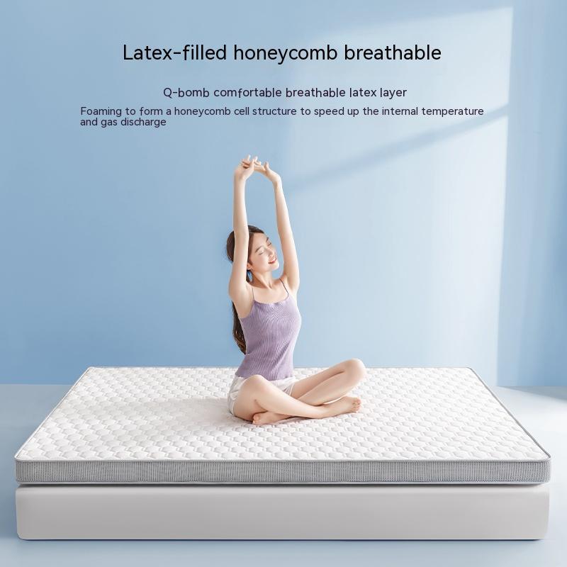 Household Memory Sponge Latex Mattress