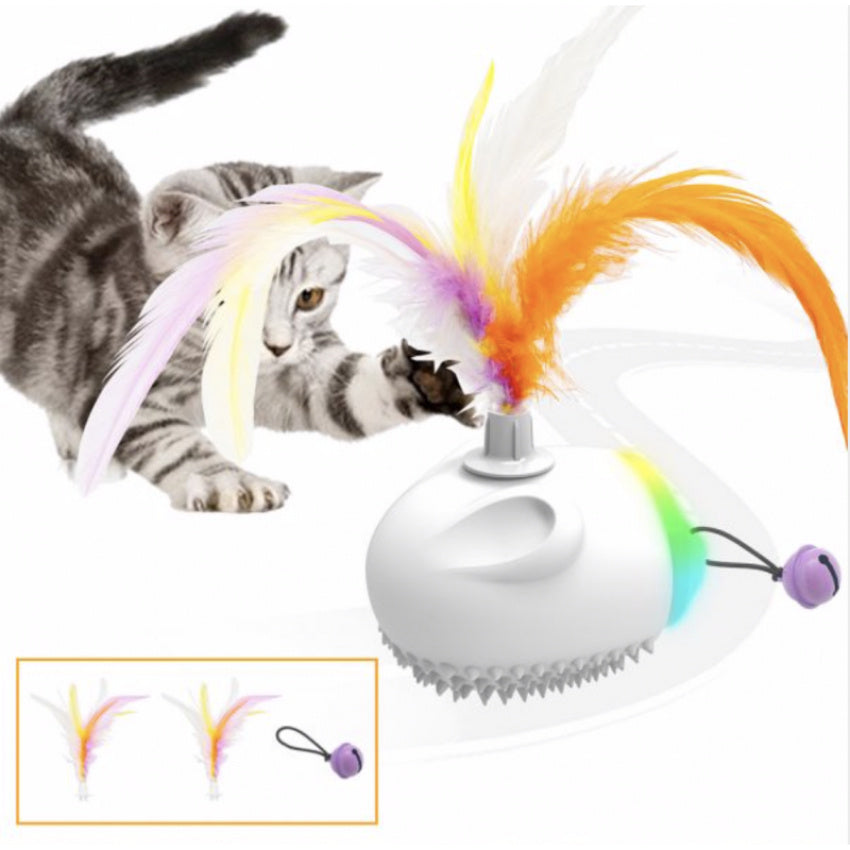 Produits interactifs pour animaux de compagnie avec capteur de jouets pour chats à piles