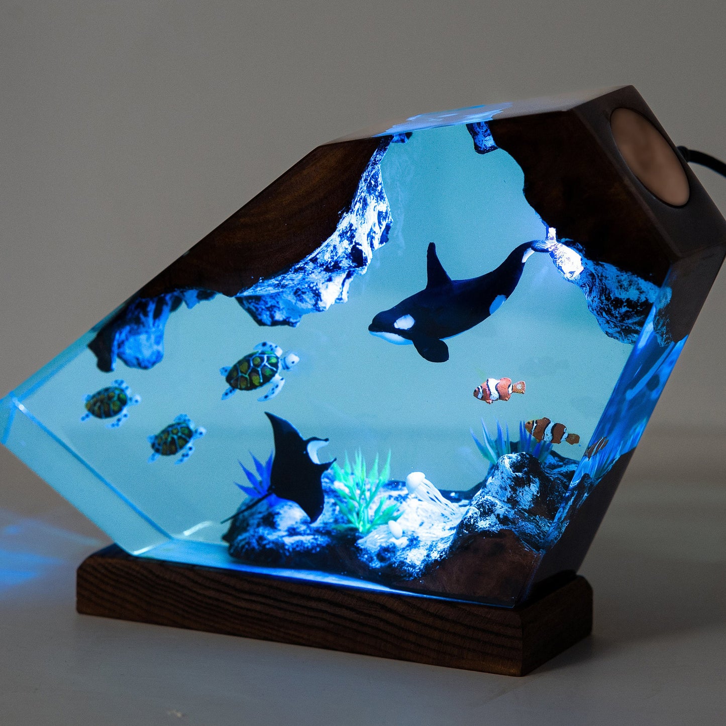 Killer Whale And Turtle Resin Night Light Home Decoration