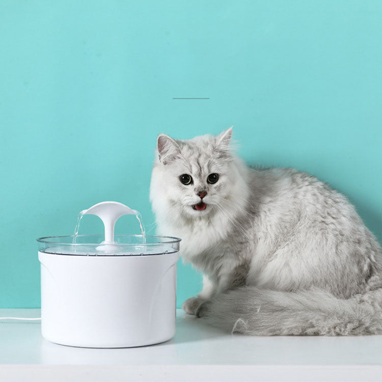 Fontaine d'eau électrique automatique pour animaux de compagnie, distributeur d'eau pour chiens et chats, conteneur LED, affichage du niveau d'eau, pour chiens et chats, boisson